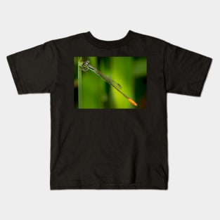 A male wandering wisp (Agriocnemis pygmaea) Kids T-Shirt